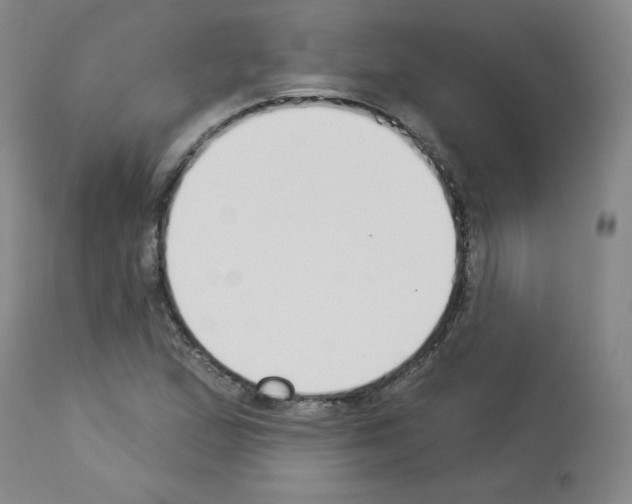 X0000112841167200910021100