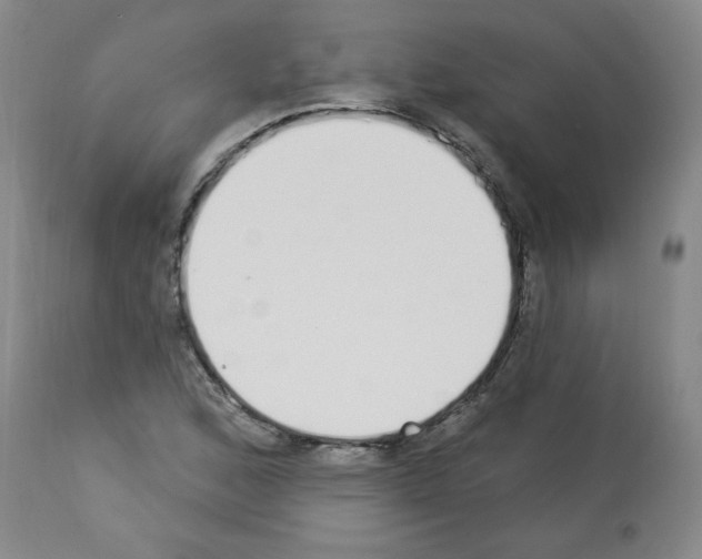 X0000112841168200910021100