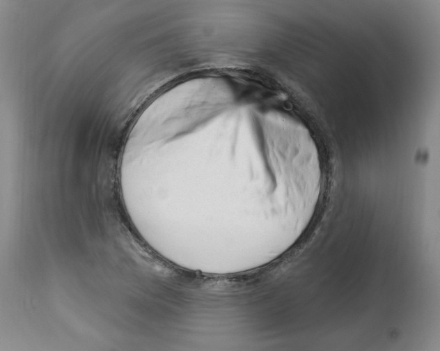 X0000112841169200910021100