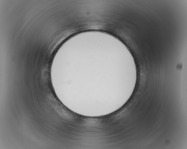 X0000112841170200910021100