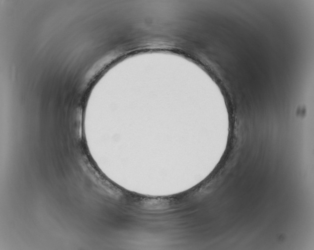 X0000112841171200910021100