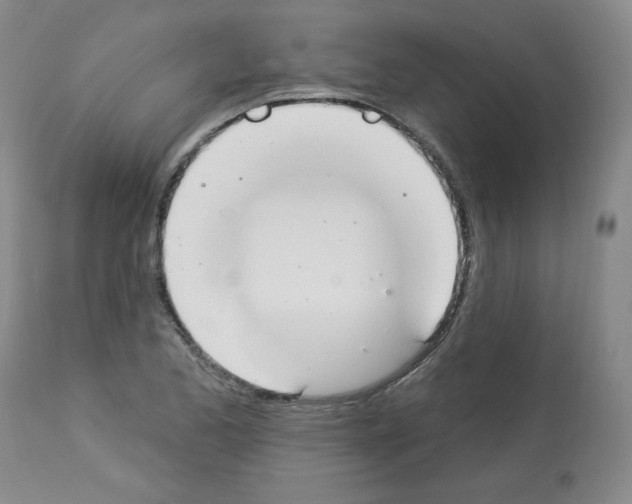 X0000112841173200910021100