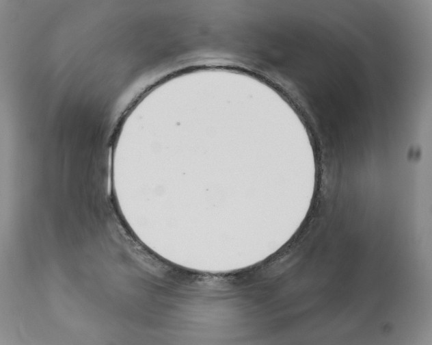 X0000112841175200910021100