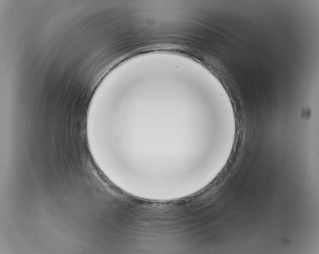 X0000112841177200910021100