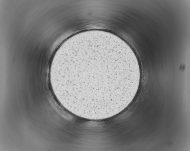 X0000112841179200910021100