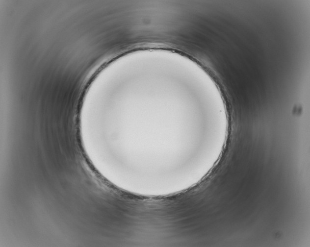 X0000112841181200910021100