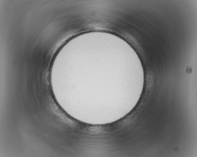 X0000112841182200910021100