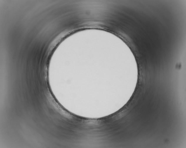 X0000112841188200910021100