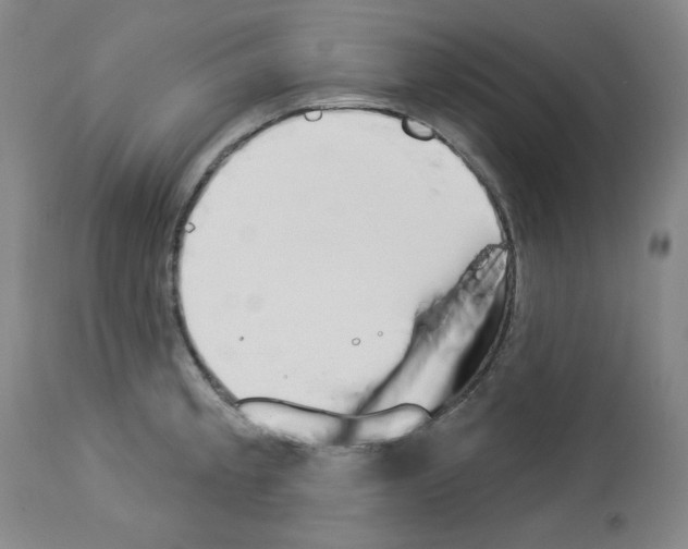 X0000112841189200910021100