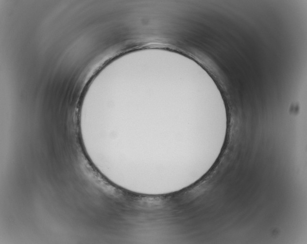 X0000112841190200910021100