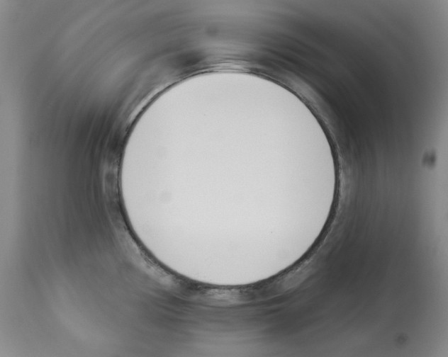 X0000112841194200910021100