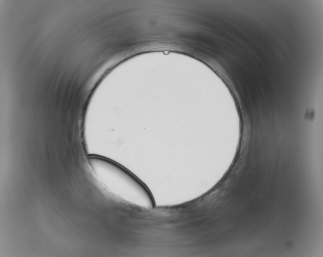 X0000112841197200910021100