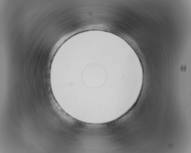 X0000112841200200910021100