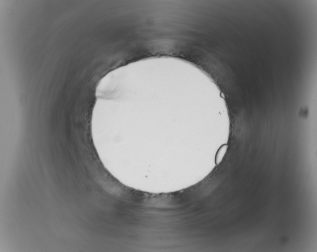 X0000112841201200910021059