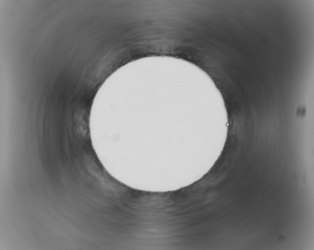 X0000112841202200910021059