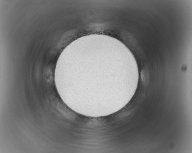 X0000112841203200910021059