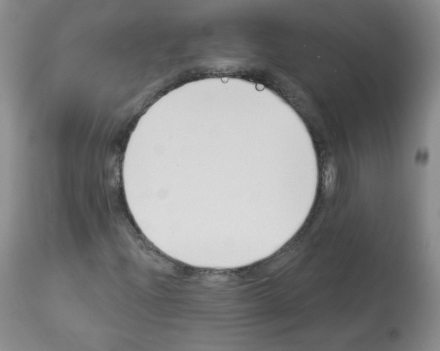 X0000112841204200910021059