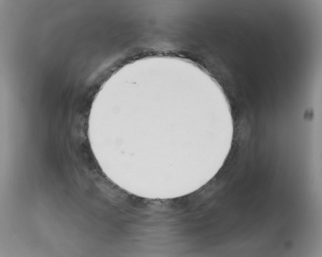 X0000112841205200910021059