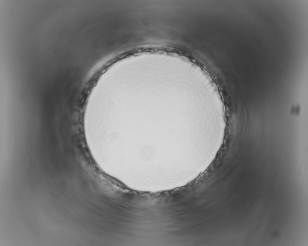 X0000112841208200910021059