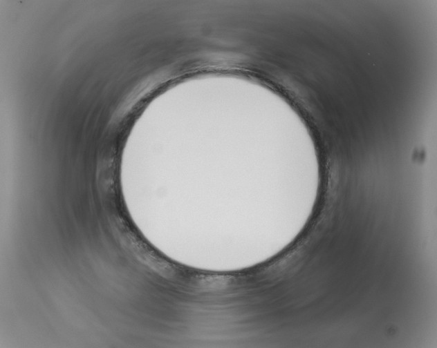 X0000112841211200910021059