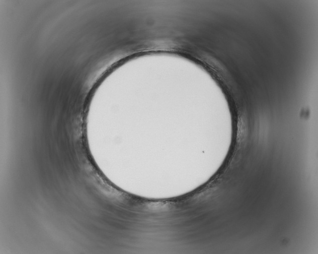 X0000112841212200910021059