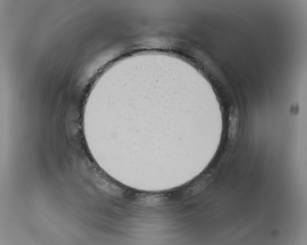 X0000112841213200910021059