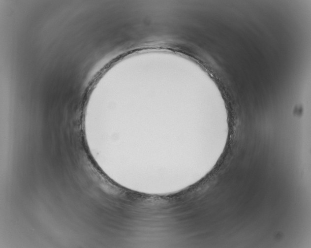 X0000112841216200910021059