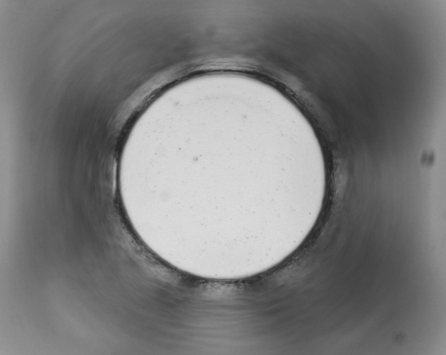 X0000112841221200910021059