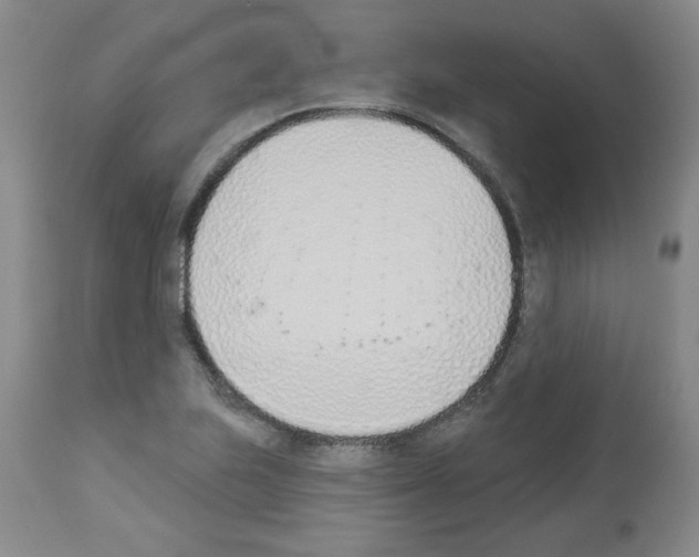 X0000112841223200910021059