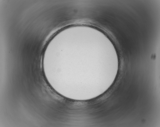 X0000112841224200910021059