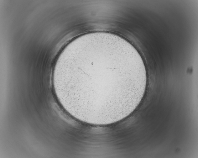 X0000112841227200910021059