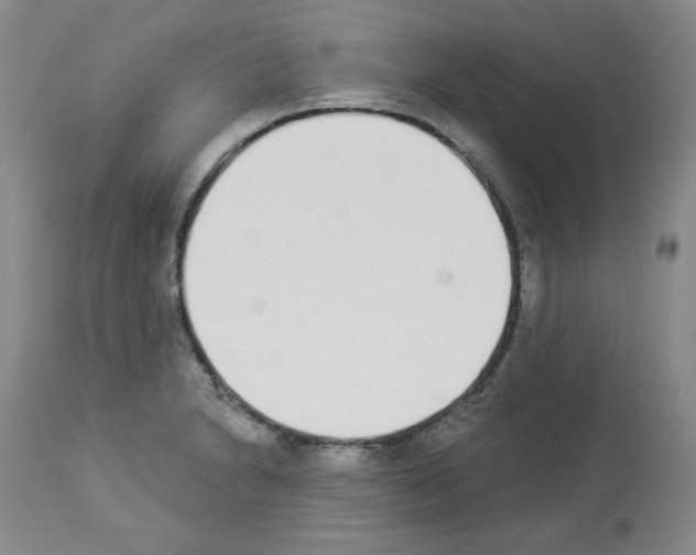 X0000112841230200910021059