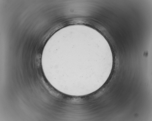 X0000112841233200910021059