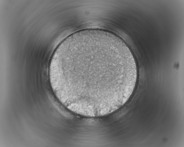 X0000112841234200910021059