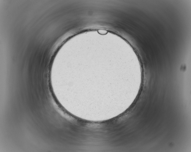 X0000112841237200910021059