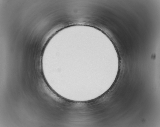 X0000112841238200910021059