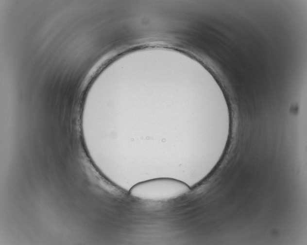 X0000112841240200910021059