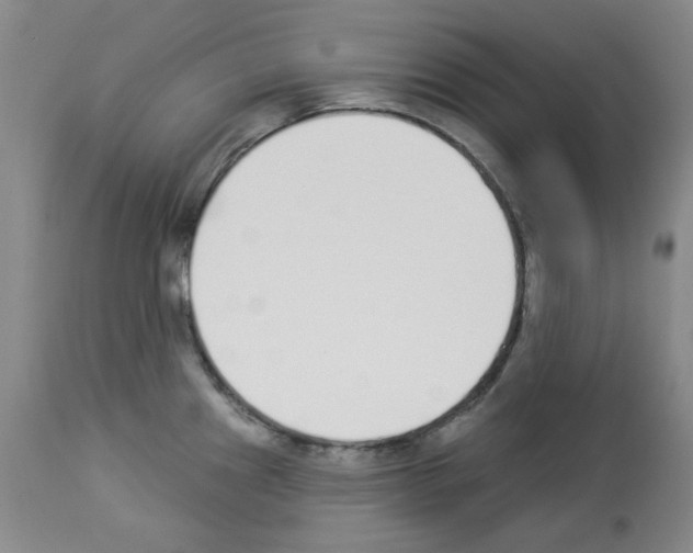 X0000112841241200910021100