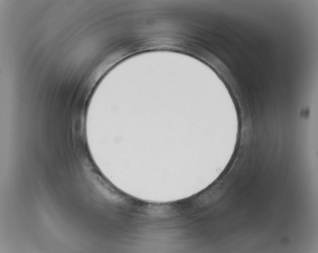 X0000112841242200910021100