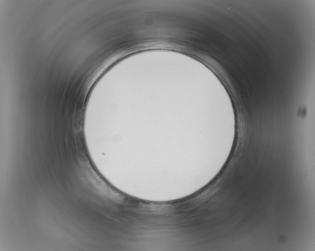 X0000112841244200910021100