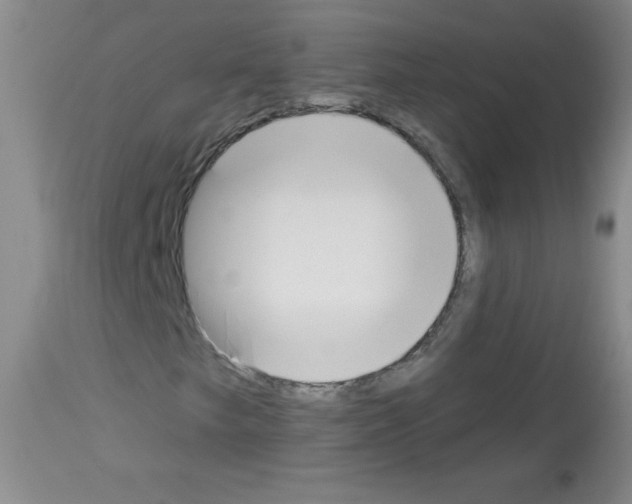 X0000112841249200910021059