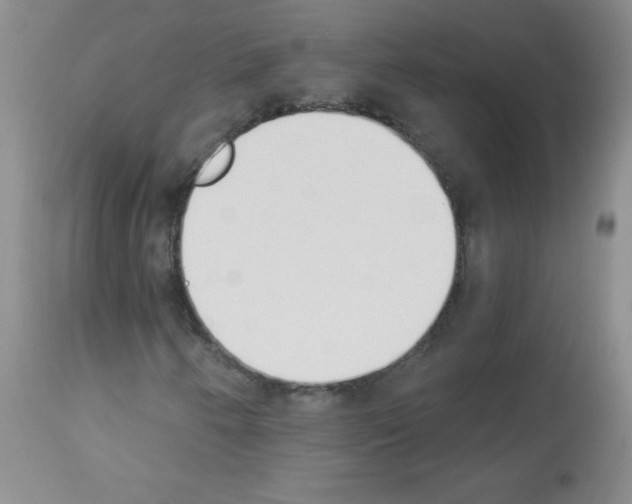 X0000112841250200910021059