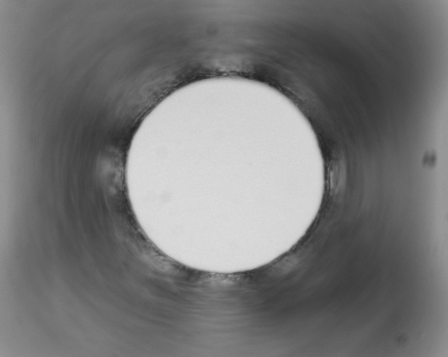 X0000112841251200910021059