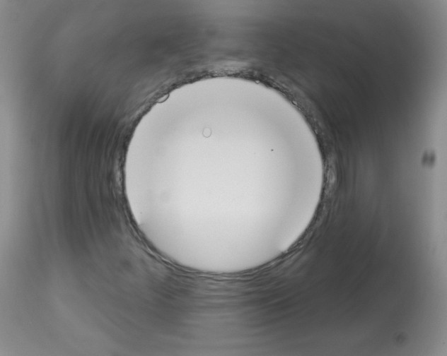 X0000112841252200910021059