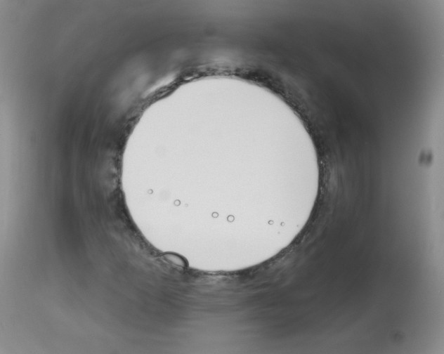 X0000112841253200910021059