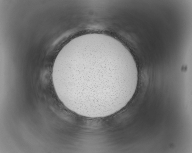 X0000112841254200910021059