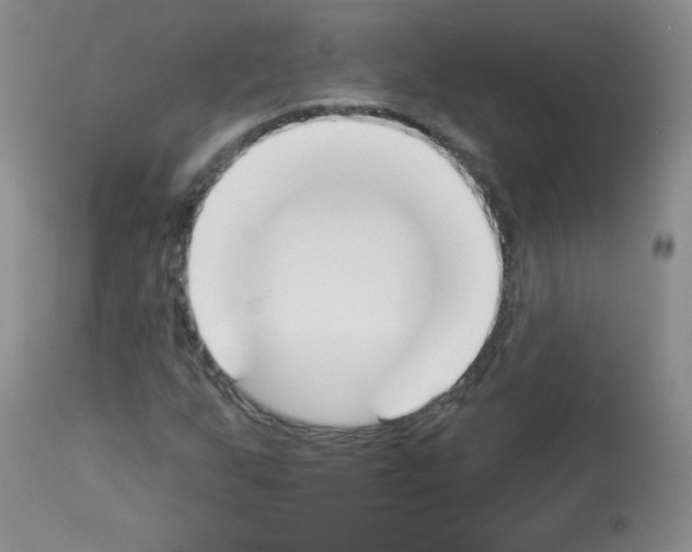 X0000112841255200910021059