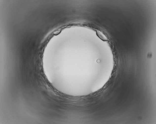 X0000112841256200910021059