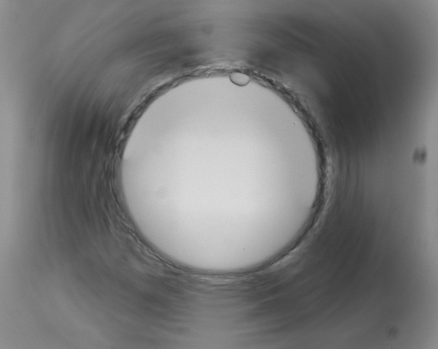 X0000112841257200910021059