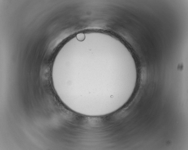 X0000112841258200910021059